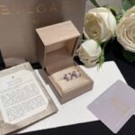 Ceramic Earrings JWL00853