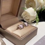 Ceramic Earrings JWL00853