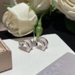 Ceramic Earrings JWL00853