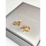 Snake Earrings JWL00232