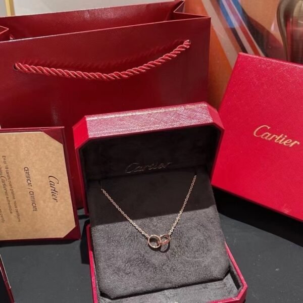 Double Ring Mini Necklace JWL00804
