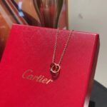 Double Ring Mini Necklace JWL00804