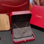 Double Ring Mini Necklace JWL00805