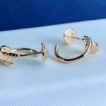 Nail Earrings JWL01120