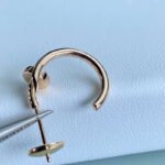 Nail Earrings JWL01120