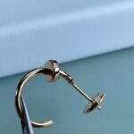 Nail Earrings JWL01120