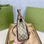 Gucci Ophidia Bat Bag BG0525232