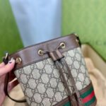 Gucci Ophidia Bucket Bag BG0525230